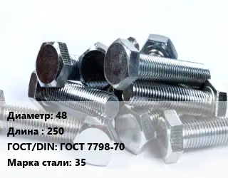 Болт 48х250 ГОСТ 7798-70 Сталь: 35